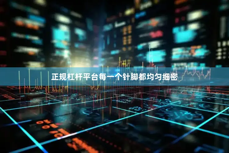 正规杠杆平台每一个针脚都均匀细密
