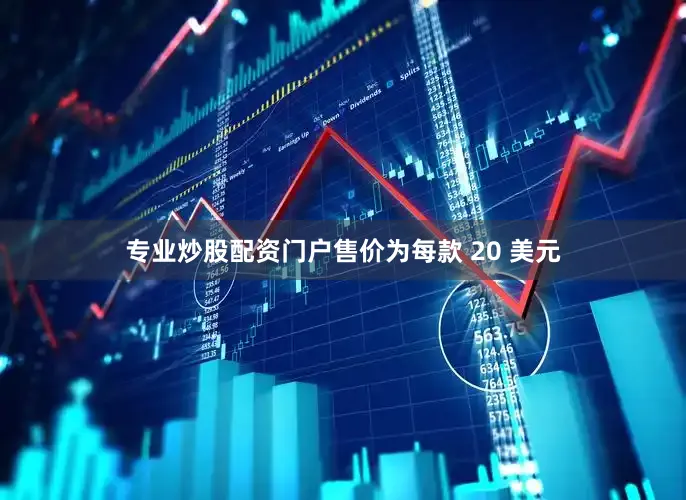 专业炒股配资门户售价为每款 20 美元